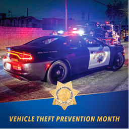 Vehicle Theft Prevention Month