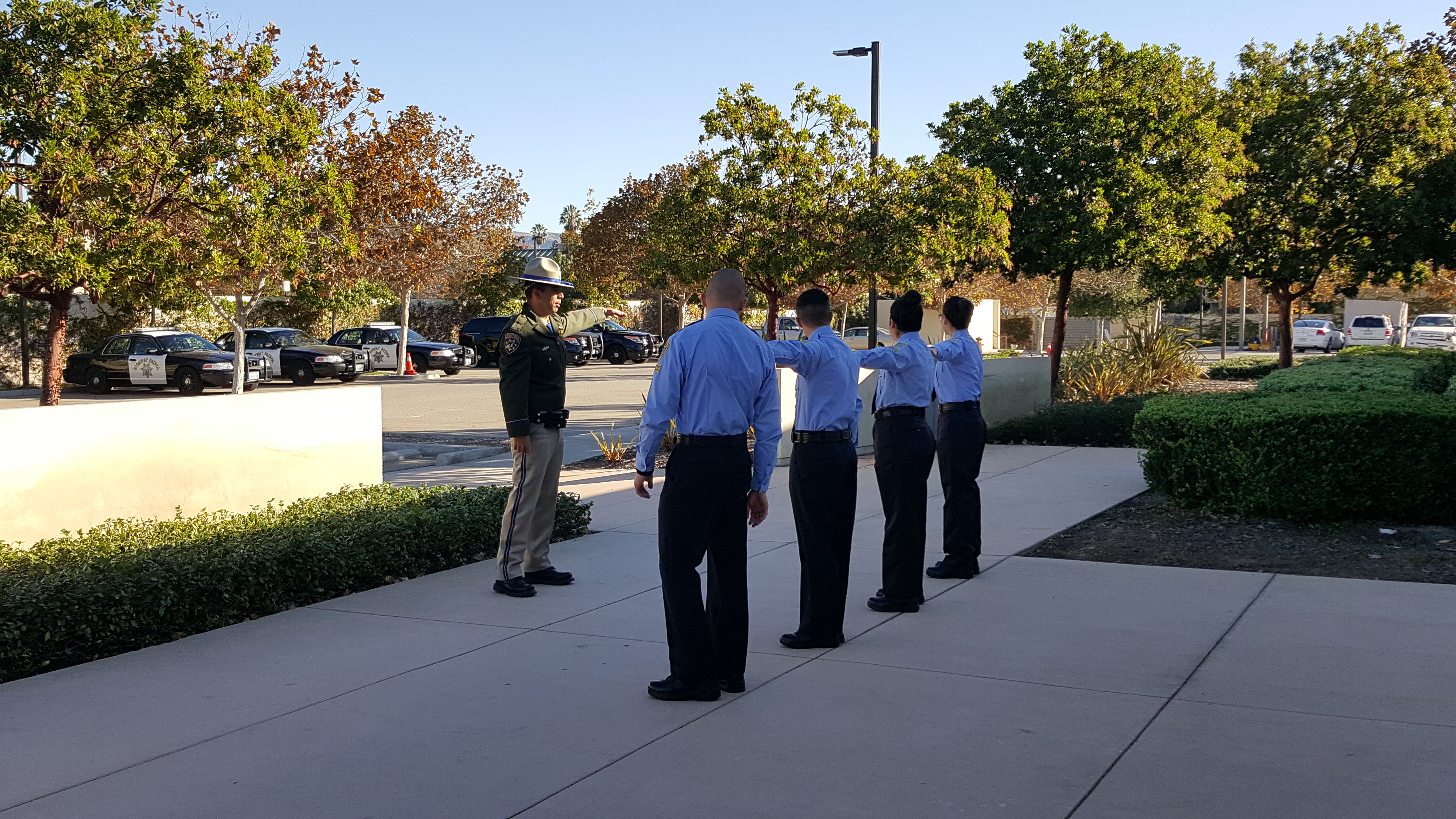 Inspection 1